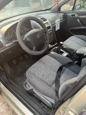 Peugeot 407 2004 Beige