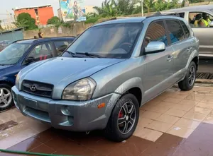 Hyundai Tucson 2007 Gris