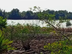 156ha Avec Acd Pieds Dans l'Eau en Vente Entre Les 2 Ponts De Bassam