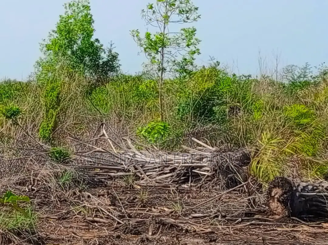 156ha Avec Acd Pieds Dans l'Eau en Vente Entre Les 2 Ponts De Bassam