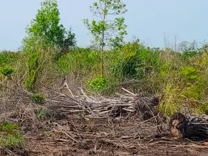 156ha Avec Acd Pieds Dans l'Eau en Vente Entre Les 2 Ponts De Bassam