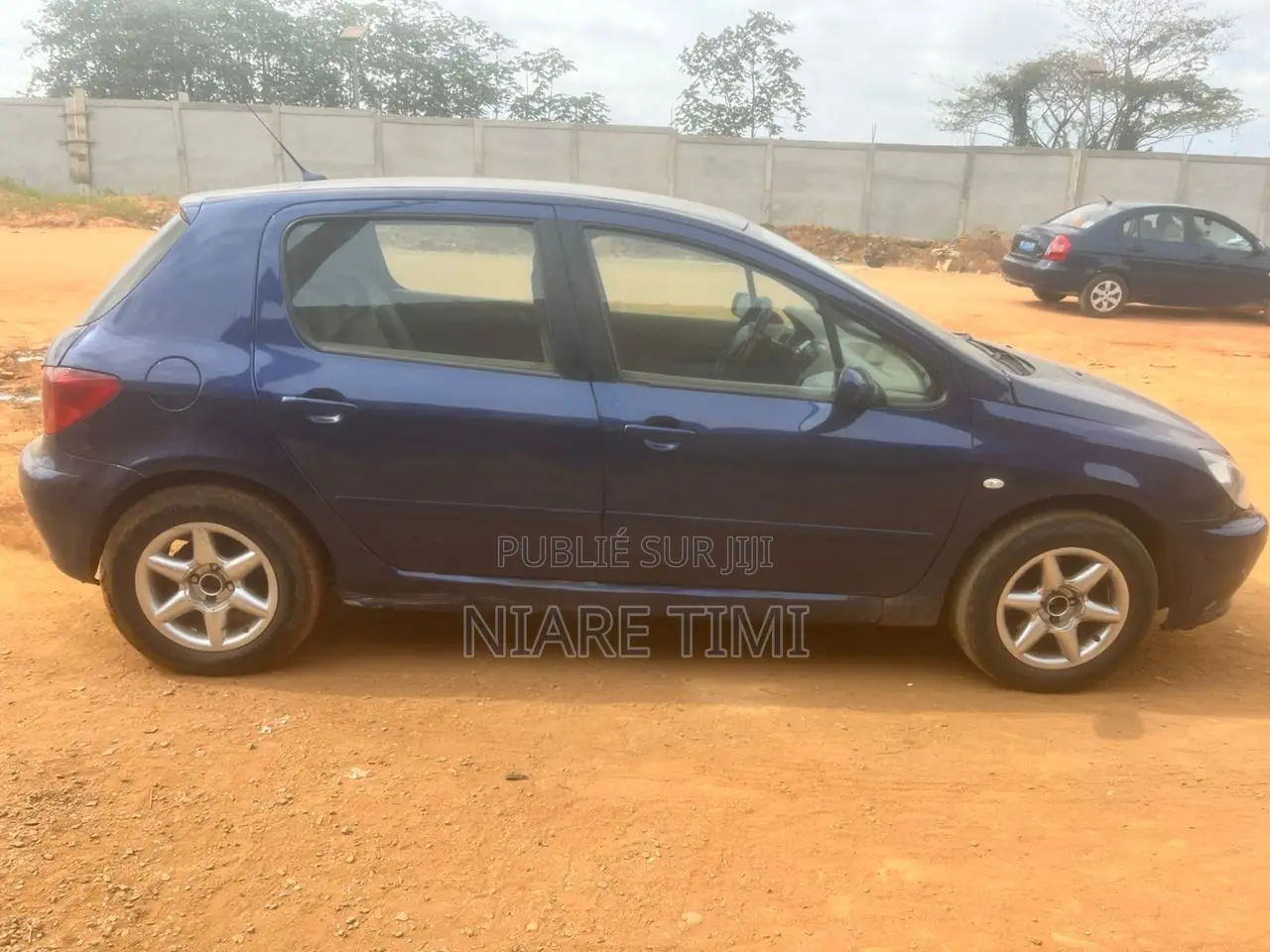 Peugeot 307 2002 Bleu