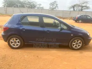 Peugeot 307 2002 Bleu