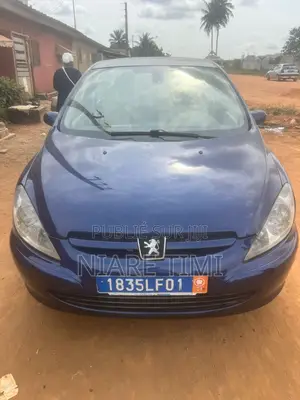 Peugeot 307 2002 Bleu