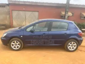 Peugeot 307 2002 Bleu