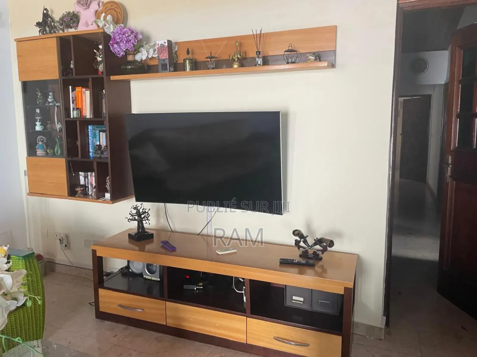 Téléviseur Telefunken en Bon État – Prix Intéressant