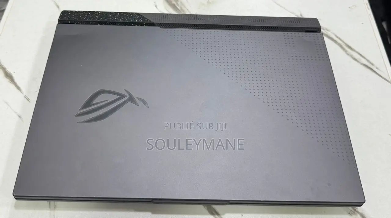 Ordinateur portable Asus ROG Strix G17 16GB AMD Ryzen 9 SSD 1T