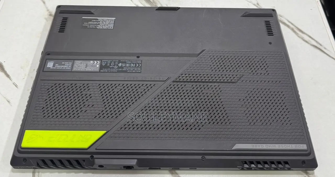 Ordinateur portable Asus ROG Strix G17 16GB AMD Ryzen 9 SSD 1T