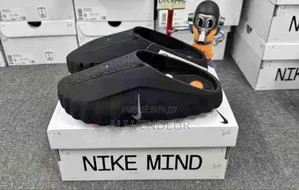 Chaussures Sportswear