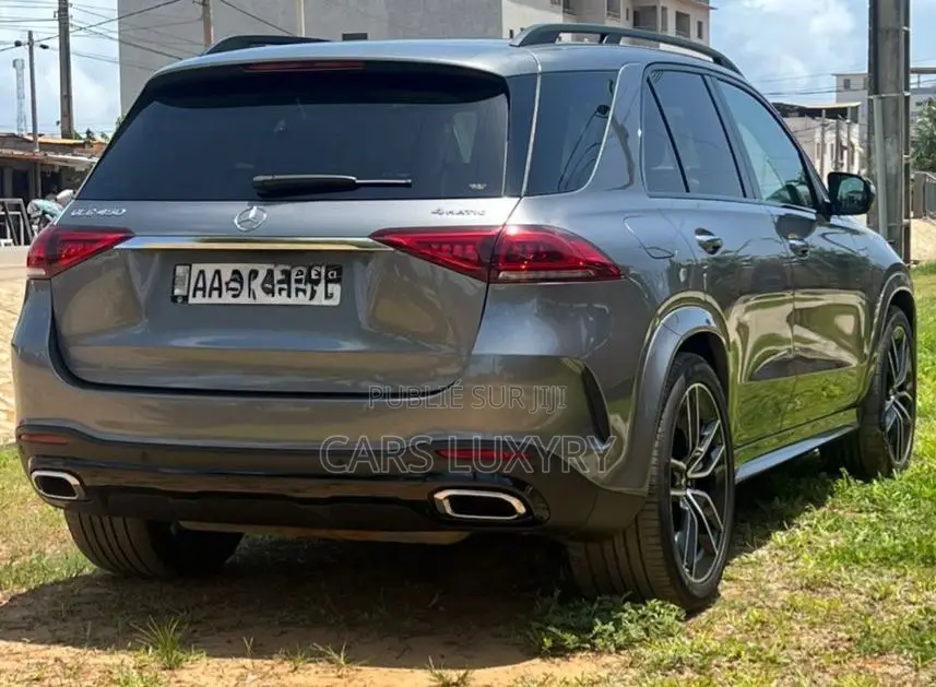 Mercedes-Benz GLE-Class GLE 450 4MATIC 2021 Gris