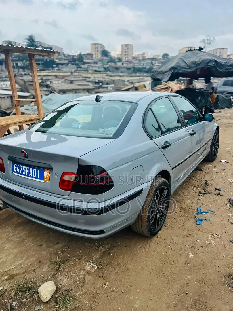 BMW 318i 1998 Gris