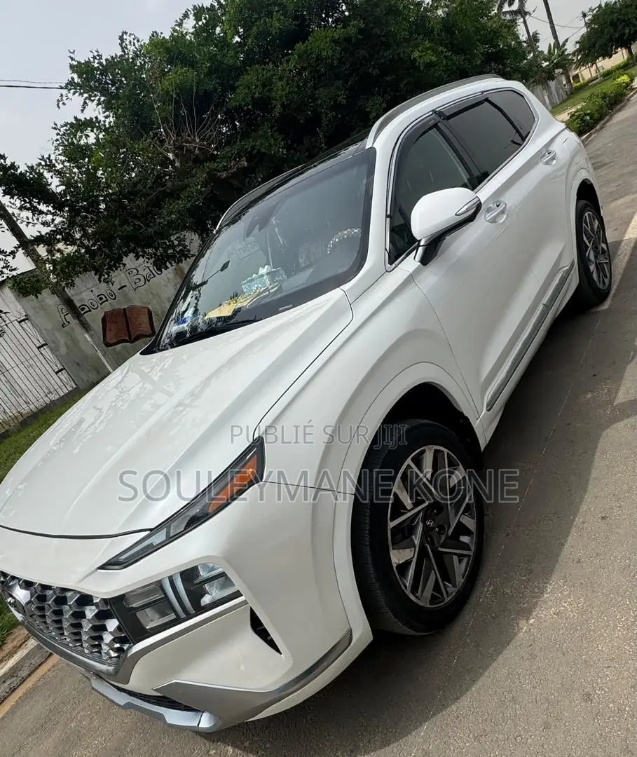 Hyundai Santa Fe 2022 Blanc