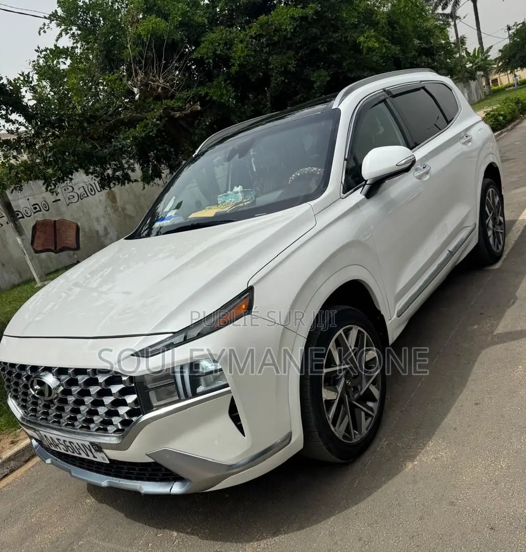 Hyundai Santa Fe 2022 Blanc
