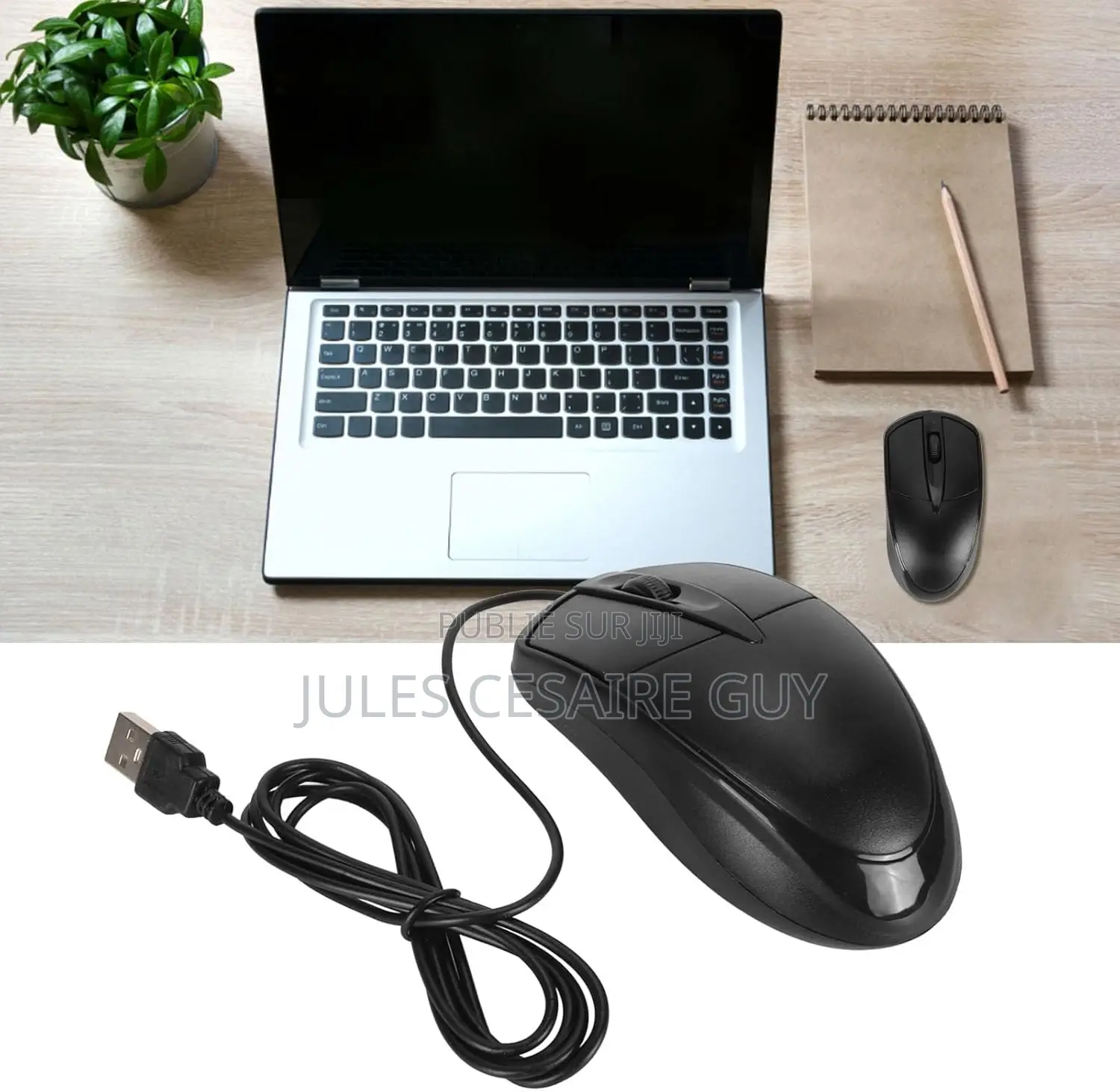 Souris Filaire Usb Biojee E100 - Noir