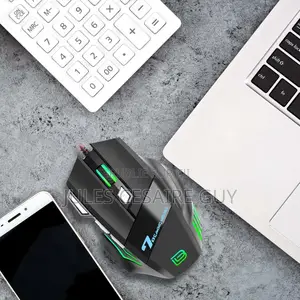 Souris De Jeu Filaire RGB Souris 7 Touches Ergonomiques 4 Dpi Réglable