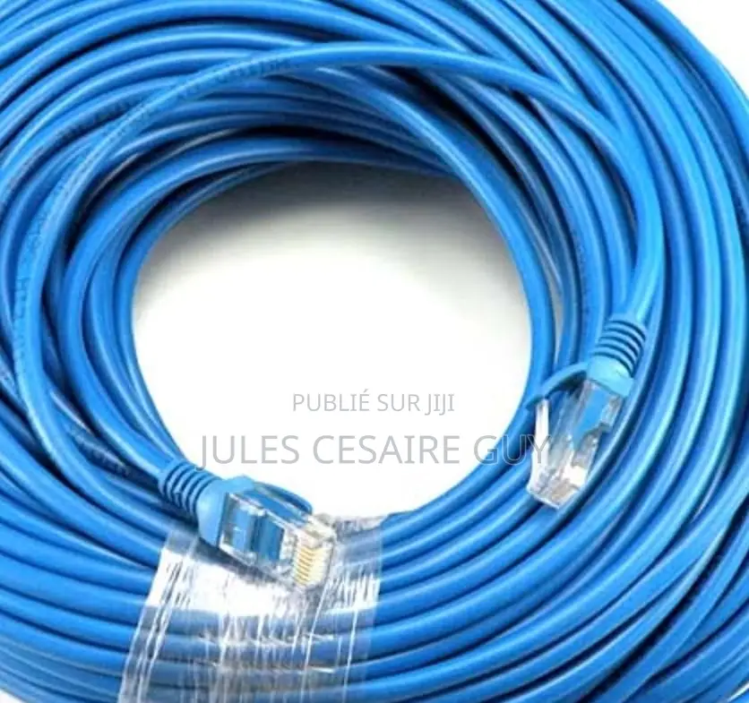 Cable Réseau Ethernet Rj45 100m Cat5e Bleu, Qualité Pro