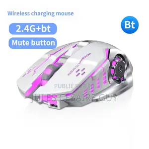 Souris Gaming Silencieuse Rechargeable Double Usb 2,4 GHZ Bluetooth