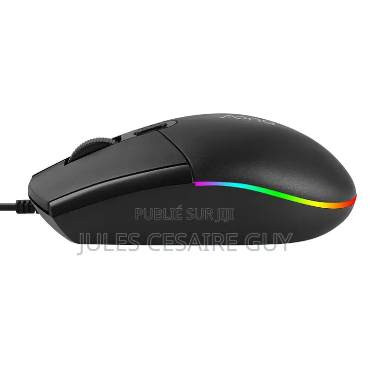 Souris Professionnelle Filaire Lg 100, 4 Boutons, 1600 Dpi