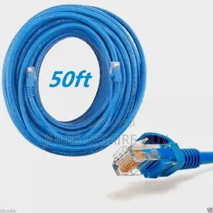 Cable Ethernet Cat6 50m, Cable Rj45 Haut Débit 1000mbps 250mhz,