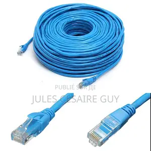 Cable Male Reseau Ethernet Droit Rj45 Cat 5e Blindé 20 M
