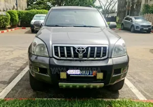 Toyota Land Cruiser 2005 Gris