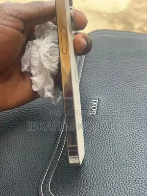 Apple iPhone 17 512 GB Autre