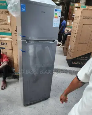 Congélateur Vertical 2 Portes en Très Bon État