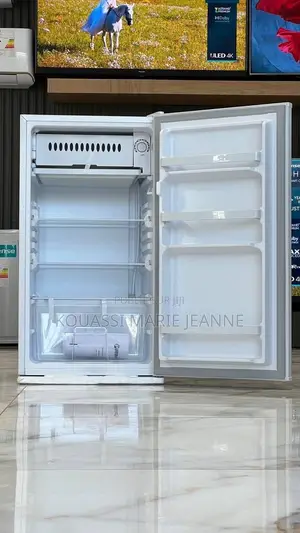 Congélateur Vertical Grande Capacité