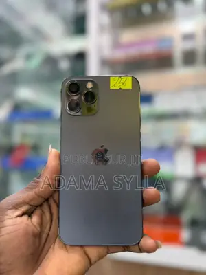 Apple iPhone 12 Pro Max 256 GB Noir