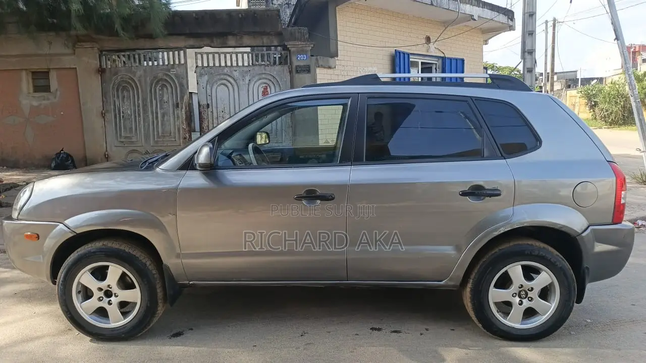 Hyundai Tucson 2008 Bleu