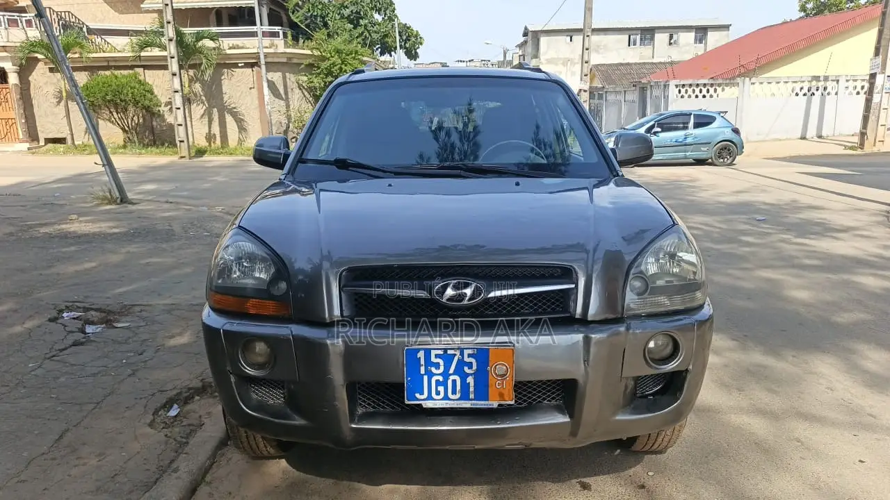 Hyundai Tucson 2008 Bleu
