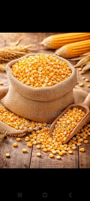 Céréales Et Divers