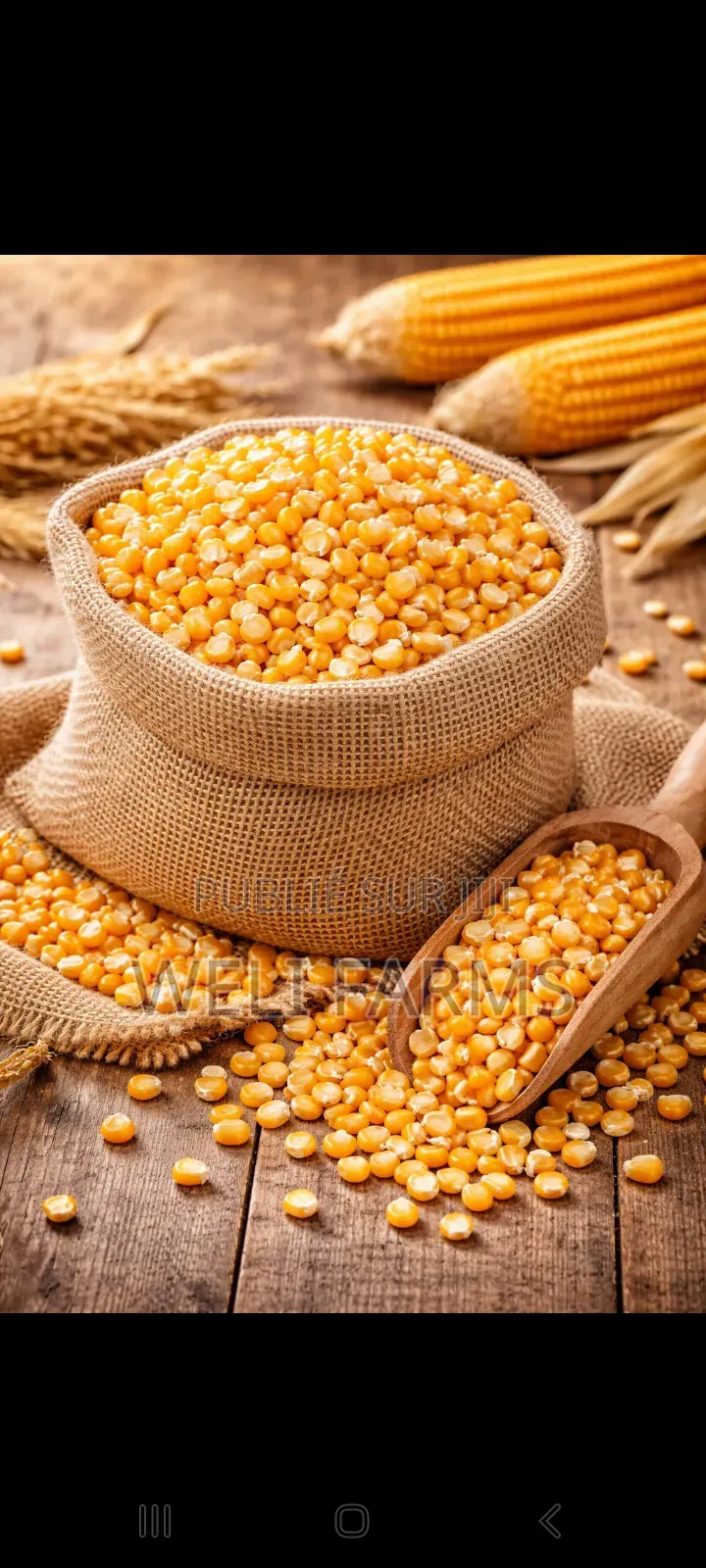 Céréales Et Divers