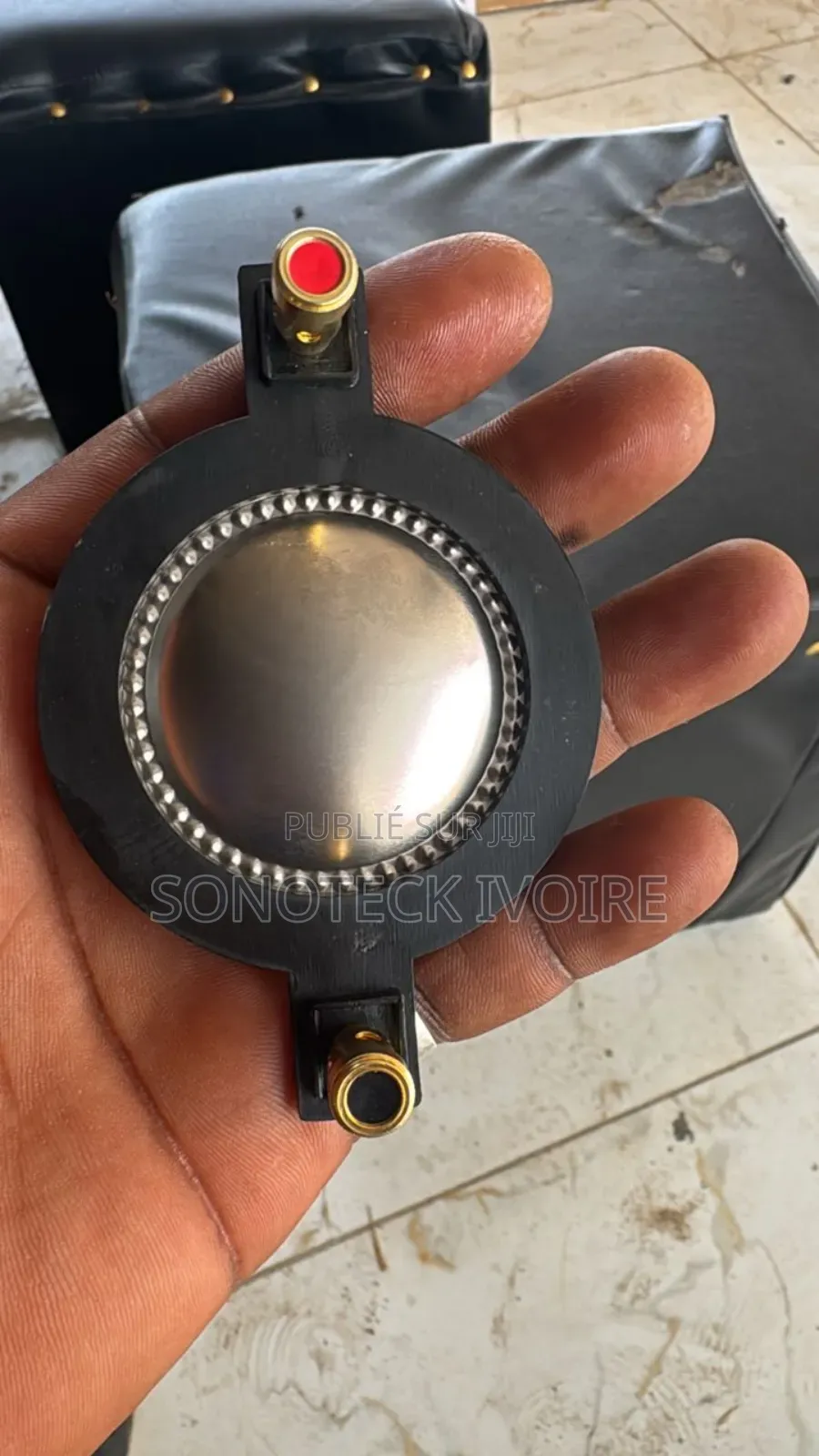 Membrane De Trompette