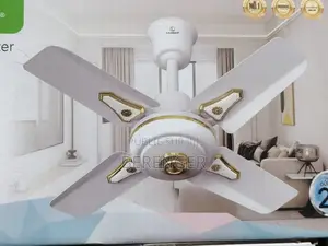 Ventilateur De Plafond 24 Pouces Leadder