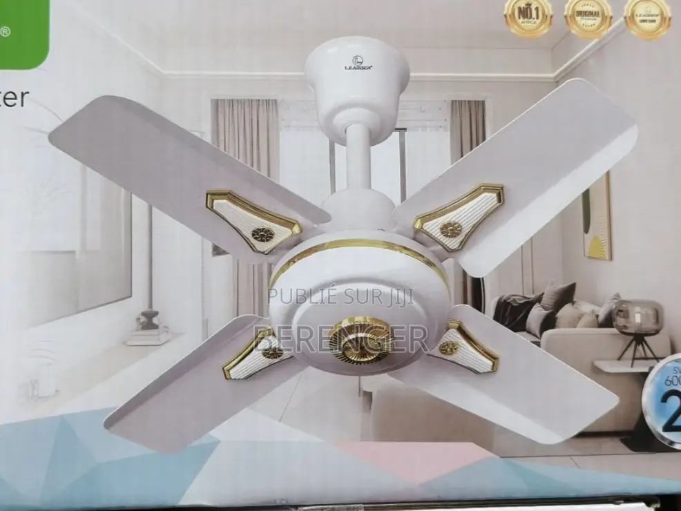 Ventilateur De Plafond 24 Pouces Leadder