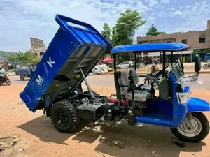 Nouveau Tricycle Ihemas 2026 Bleu