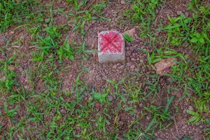 Vente 46 Lots 500m2 Songon Abiaté