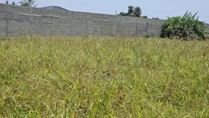 Vente 501 M2 Bassam Quartier Balneaire