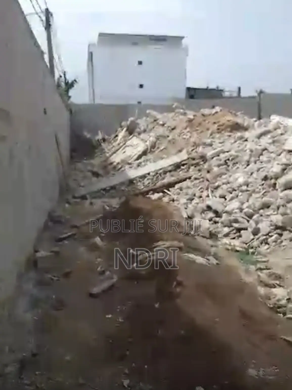 Vente De 1000m2 À Angre Bessikoi