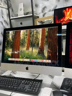 Nouveau Ordinateur de bureau Apple iMac 16GB Intel Core i5 HDD 1T