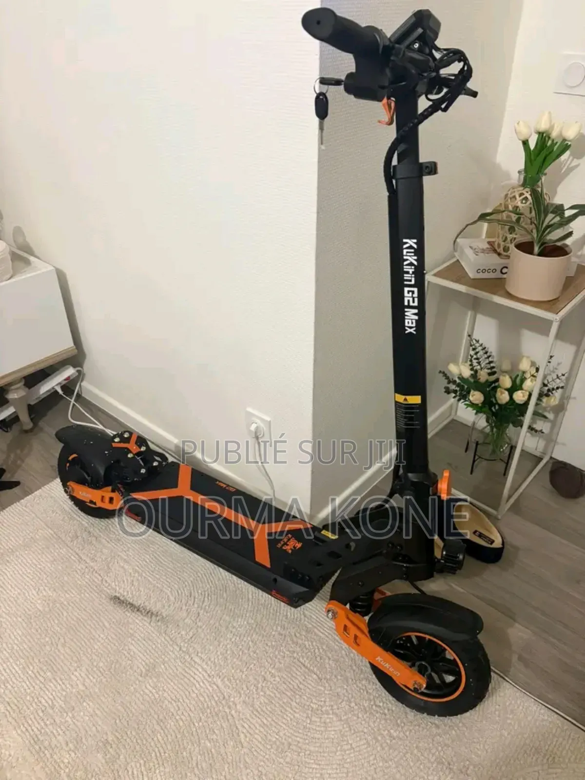 Trotinette Électrique