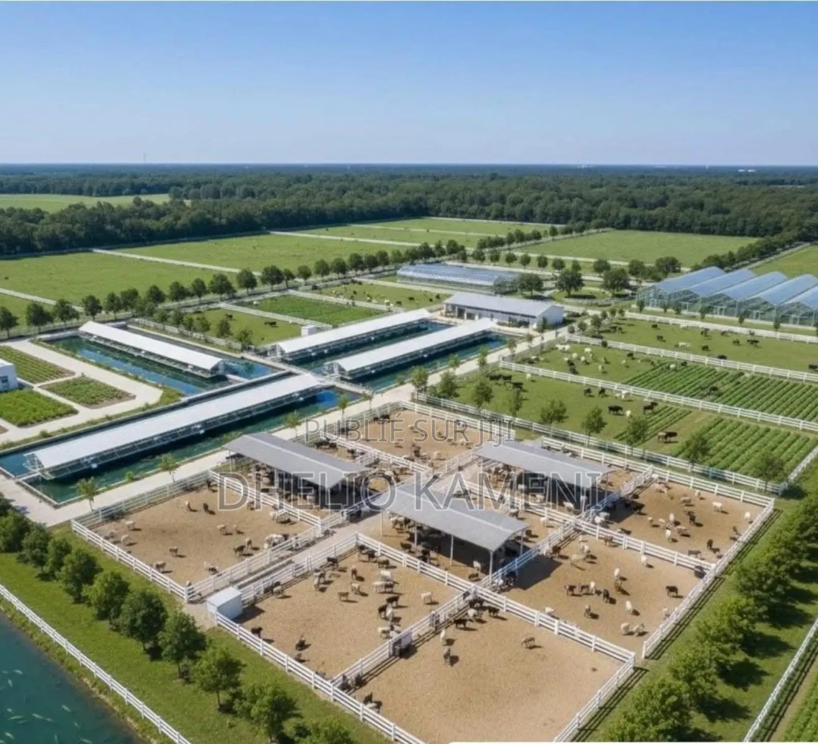 Opportunités Foncier À Bingerville