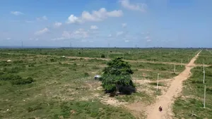 Opportunités Foncier À Songon M'braté