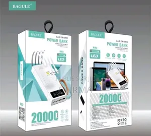 Chargeur Électrique