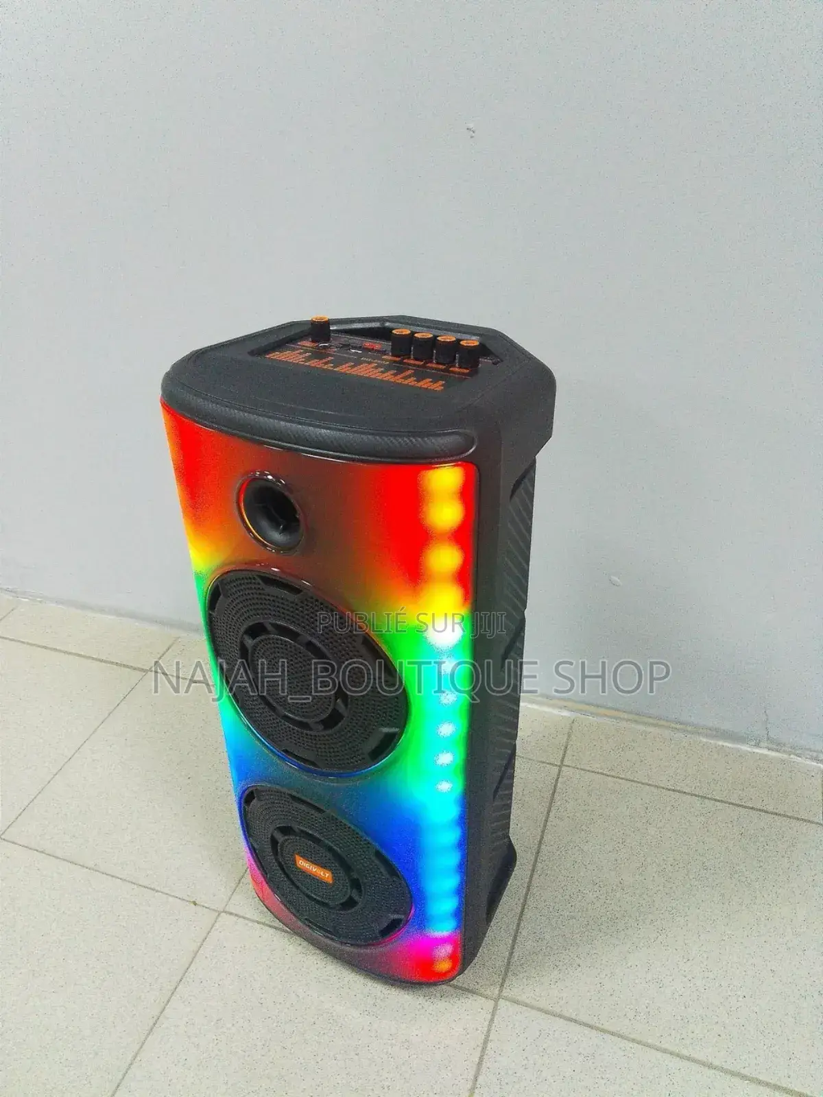 Haut-Parleur Digivolt 8802