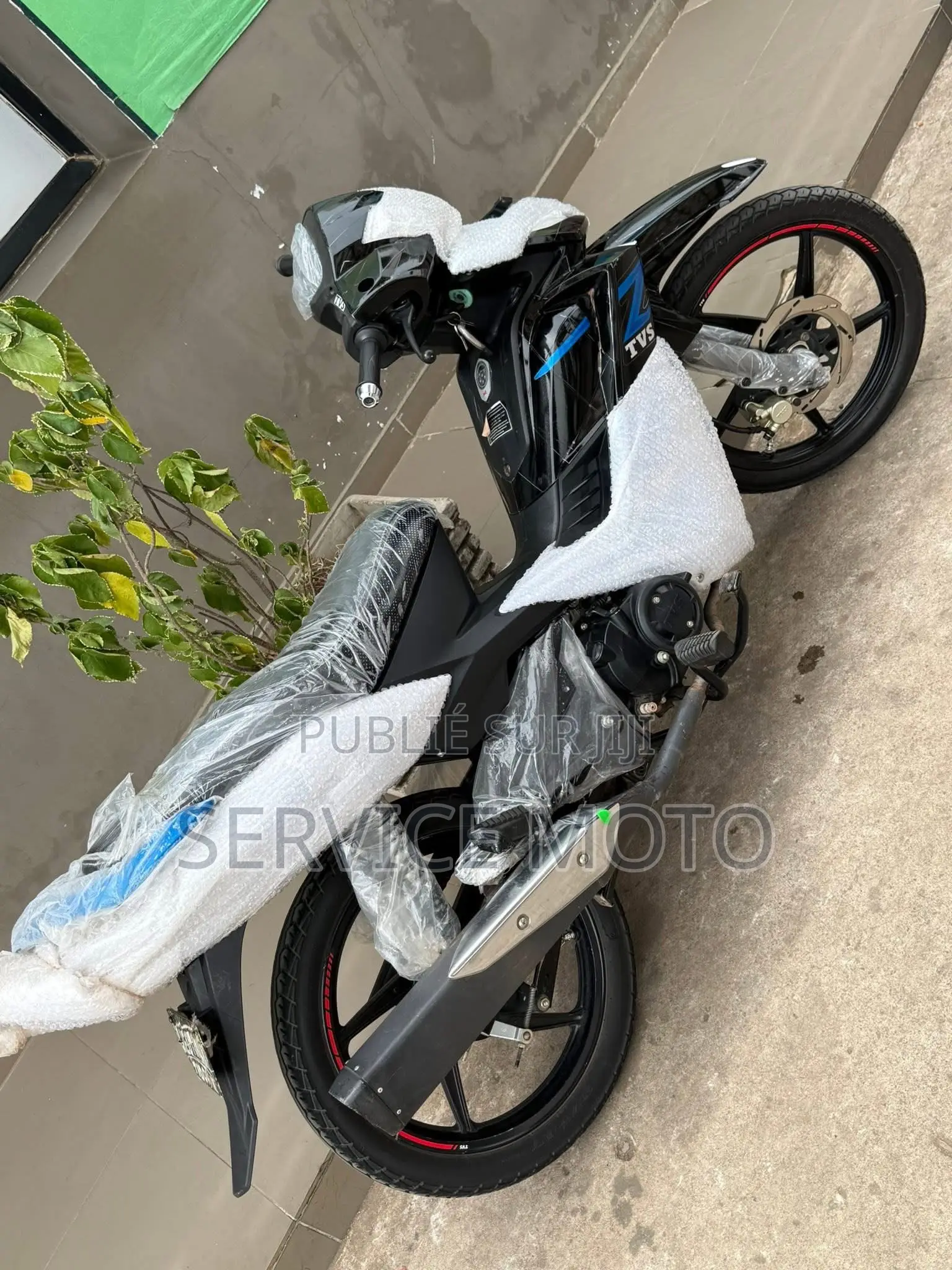 Nouveau TVS Rockz 125 2022 Autre