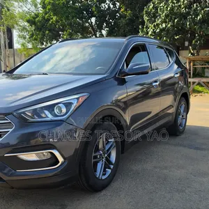 Hyundai Santa Fe Limited AWD 2016 Argenté