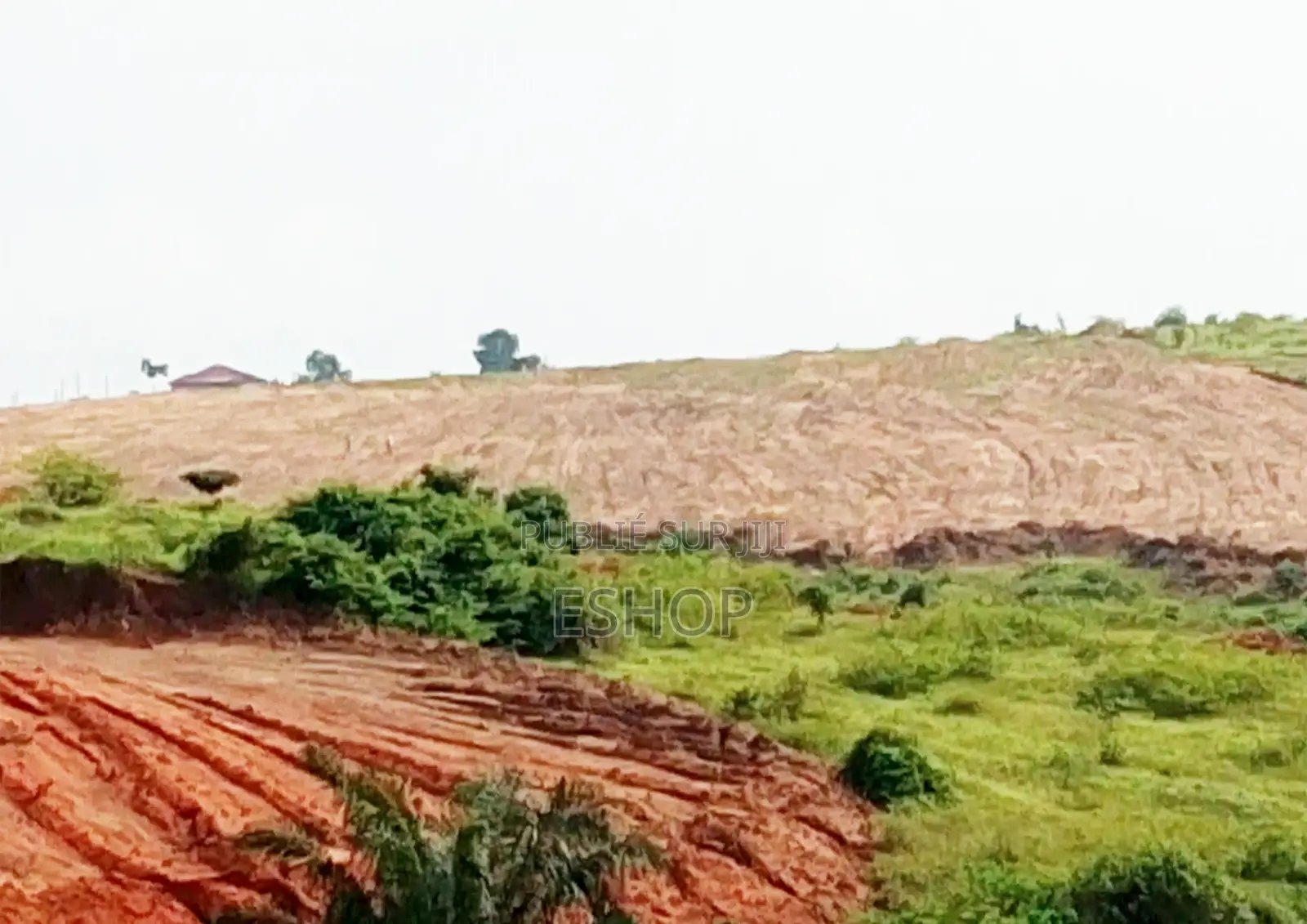 Terrains De 400 M2 en Vente