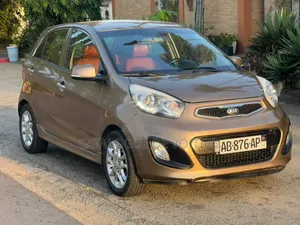 Kia Picanto 2014 Marron